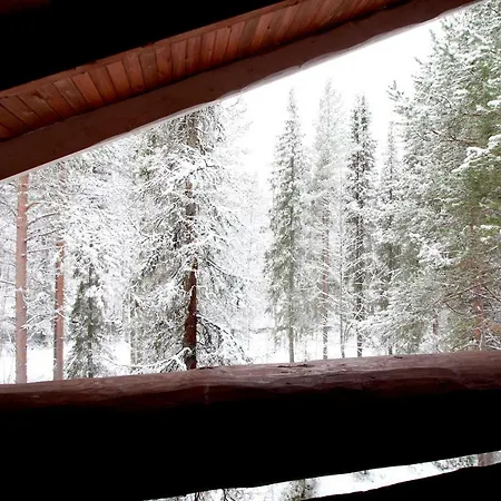 Villa Levinkajo Levi